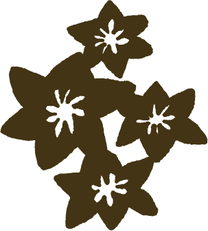 Arrow Icon