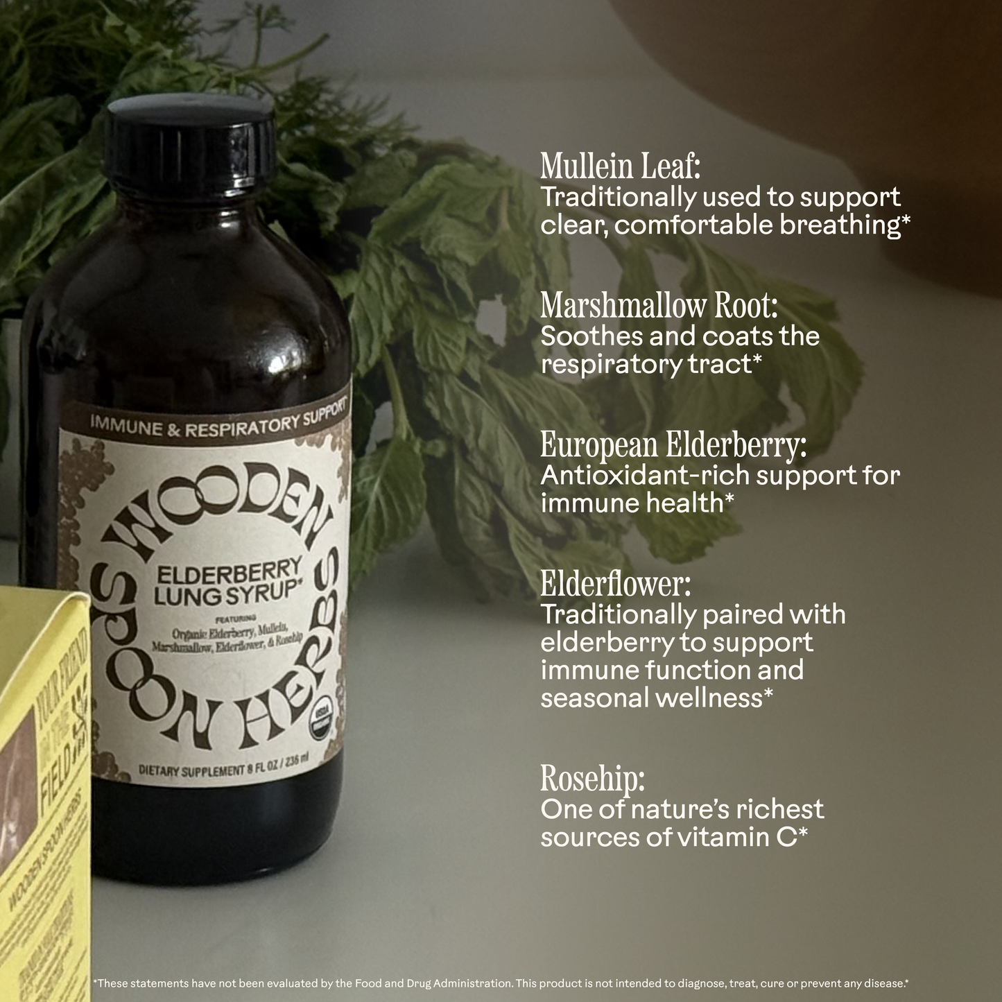 Elderberry Lung Support