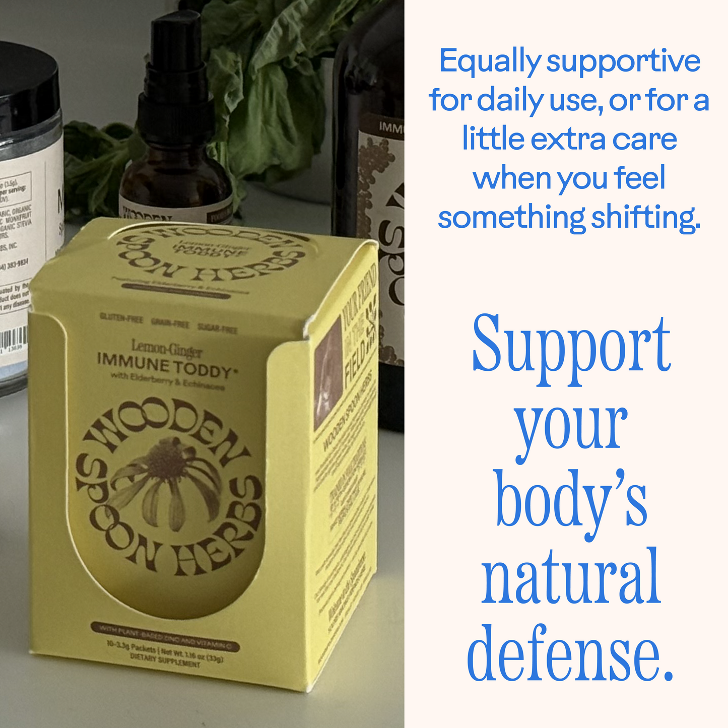 Lemon-Ginger Immune Toddy