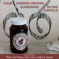Oregano Daily Wellness