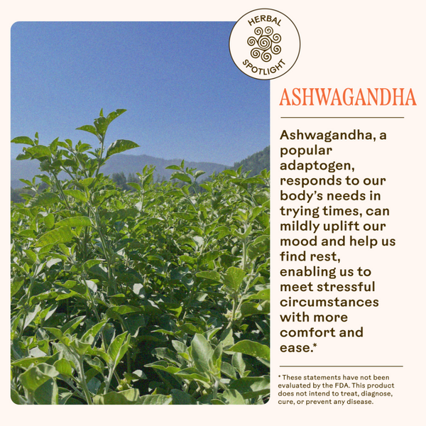 Stress Savior Herbal Spotlight featuring Ashwagandha adapogen for mood and rest.