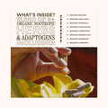 organic nootropic herbs and adaptogens on a white background