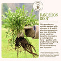 Dandelion Digestive Bitters