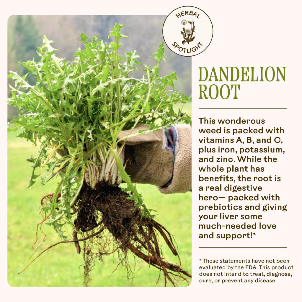Dandelion Digestive Bitters