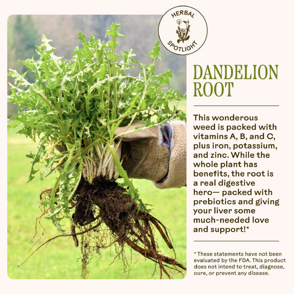 Dandelion Digestive Bitters